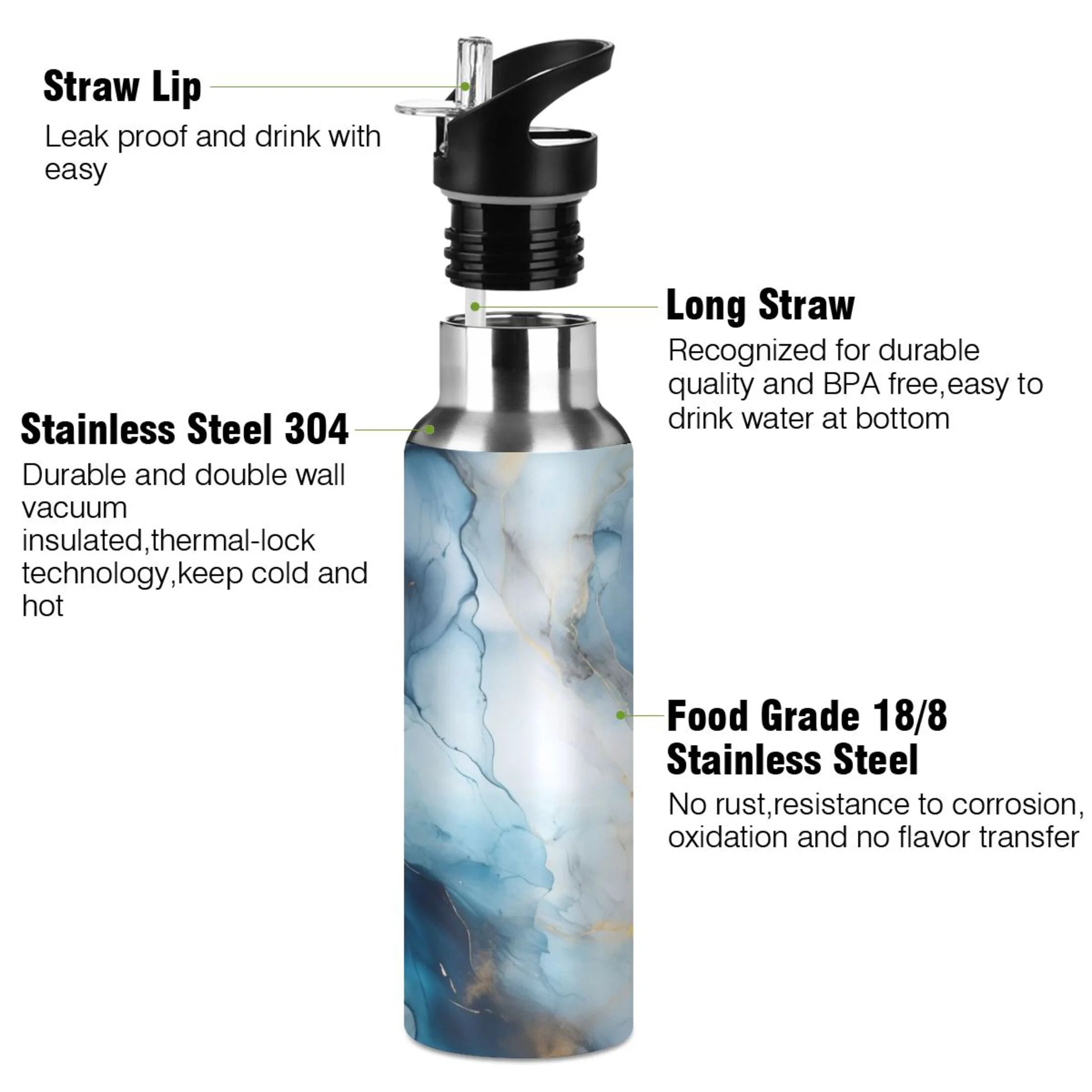 Blue Marble Stainless Steel Insulated Water Bottle with Straw Lid B997628
