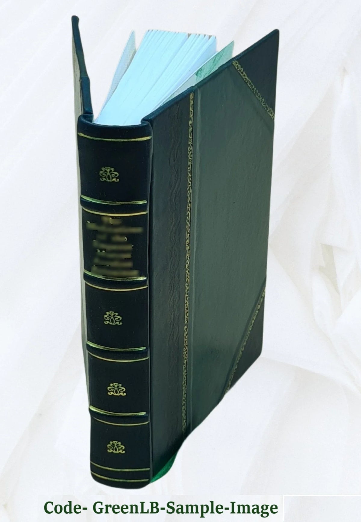 Swahili tales with English translation G22462