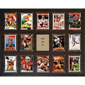 16 x 20 in. 14-Card Plaque N5895