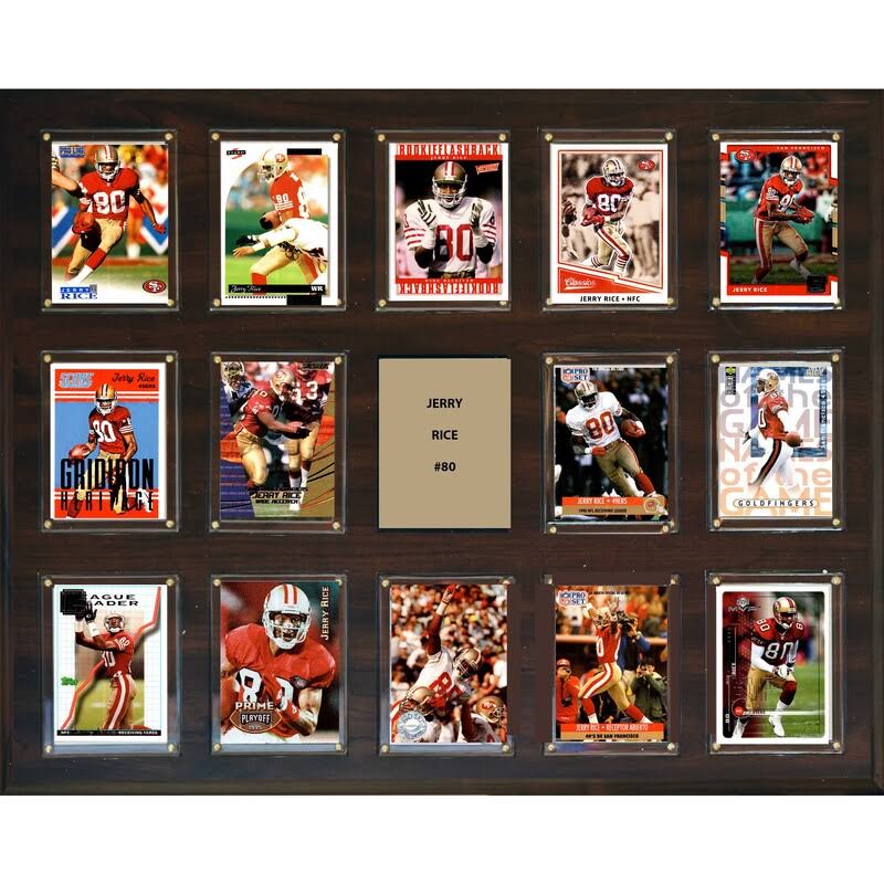 16 x 20 in. 14-Card Plaque N5895