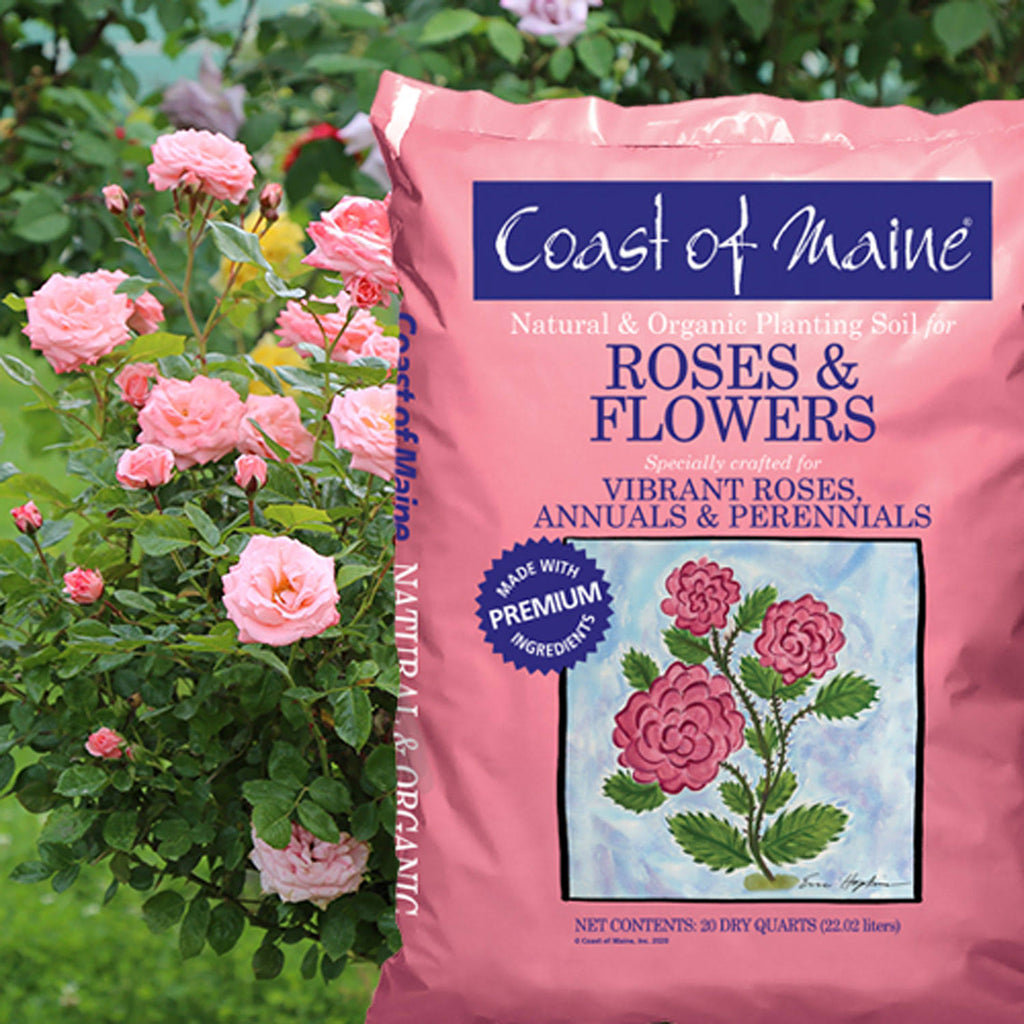 20 Quart Bag (4 Pack) Organic Potting Soil E53821