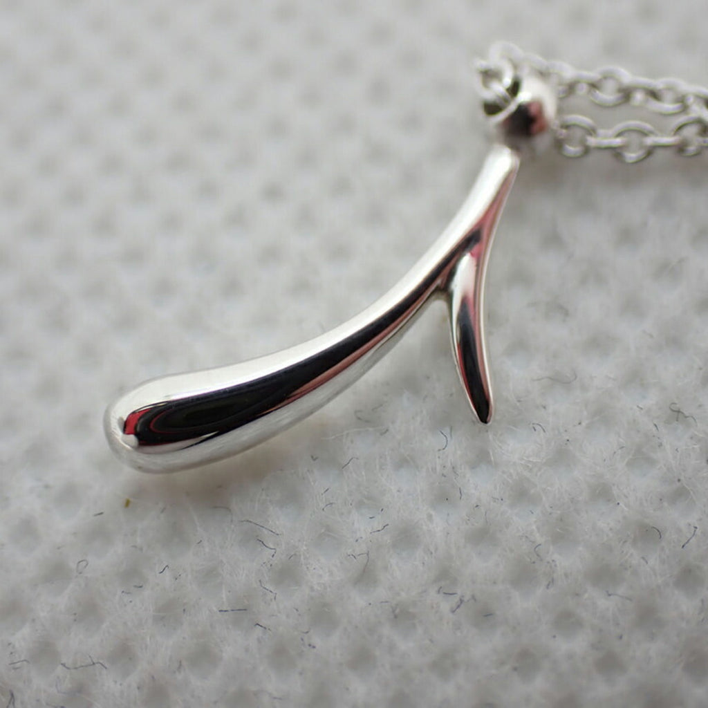 925 Peretti Pendant Necklace E70413