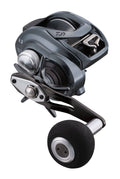 Baitcasting Reel C31167