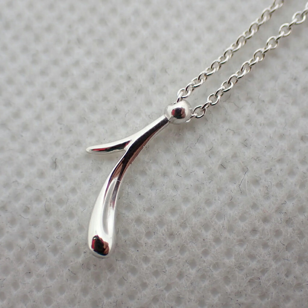 925 Peretti Pendant Necklace E70413