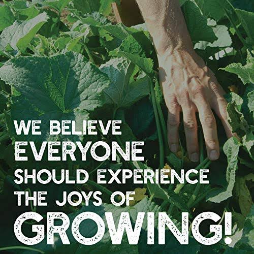 Crimson Clover Seeds, 25 lb Bulk, Non-GMO, Open Pollinated, Perennial, Heirloom, Clay Coated Z675