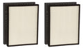 True HEPA Carbon Replacement Filter T3110