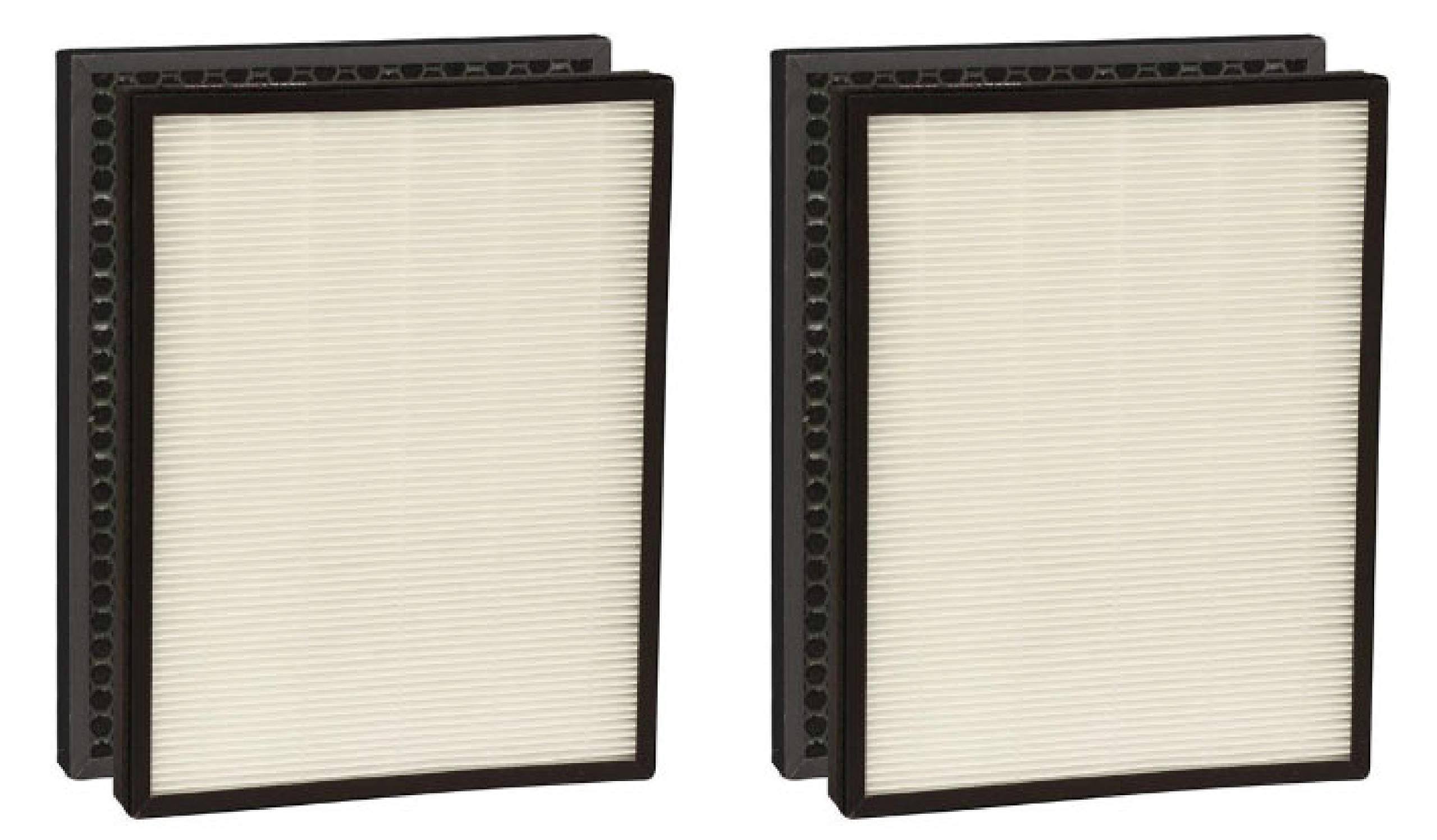 True HEPA Carbon Replacement Filter T3110