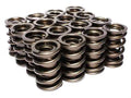Dual Valve Springs V2812