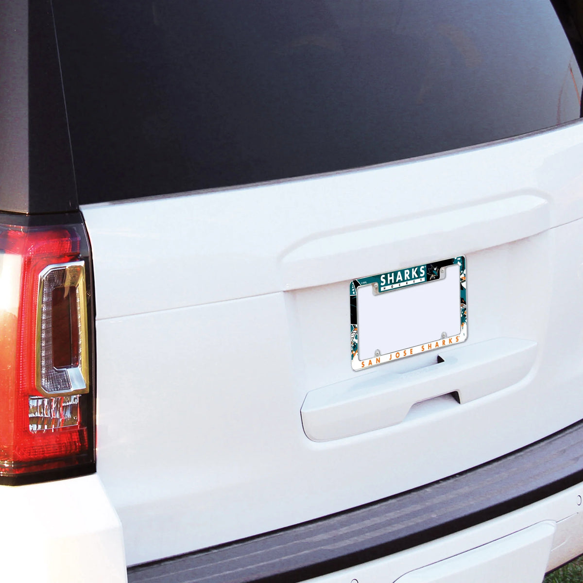 Chrome Metal License Plate Frame S3946