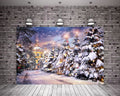 Christmas Backdrop for Photography A221