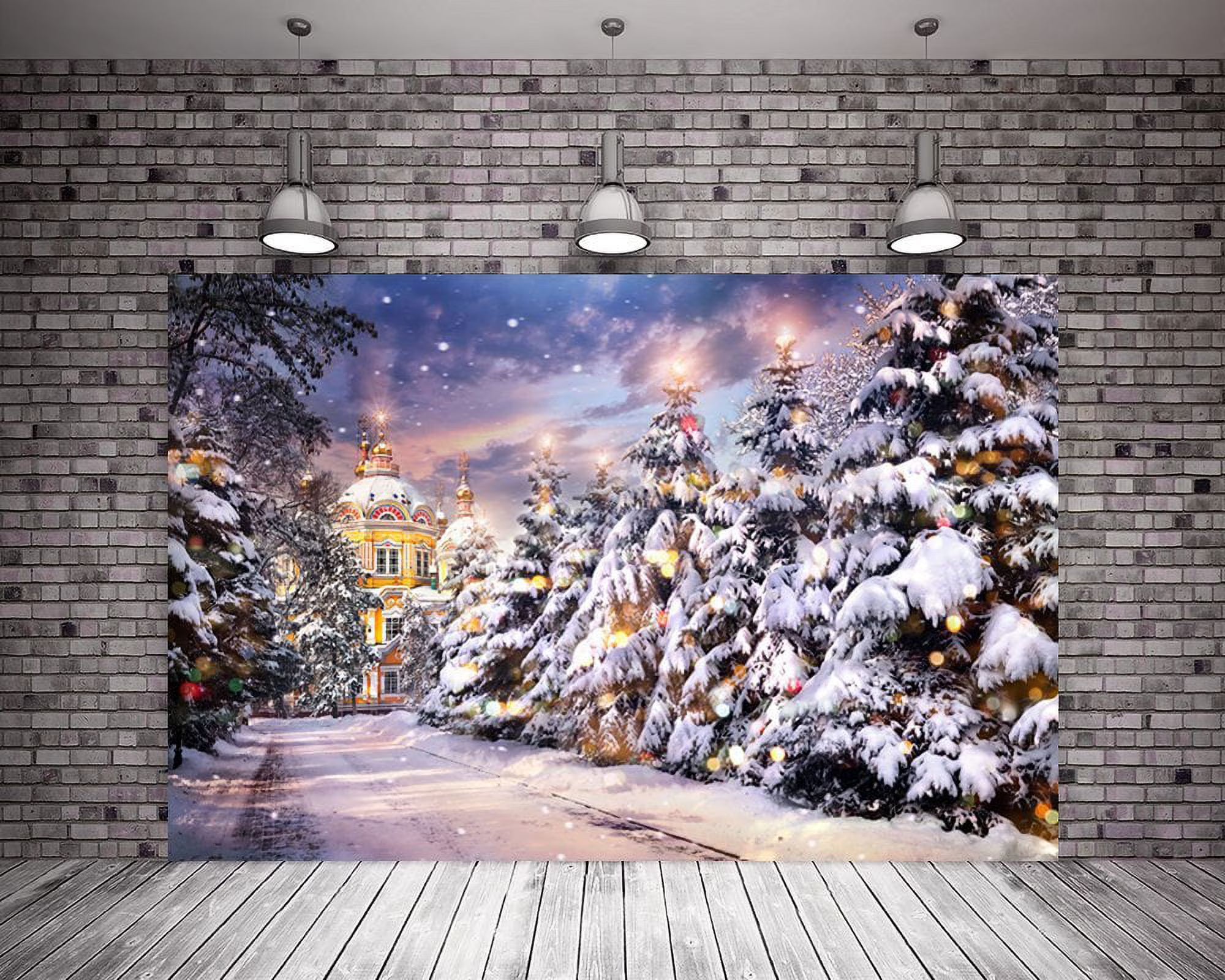 Christmas Backdrop for Photography A221