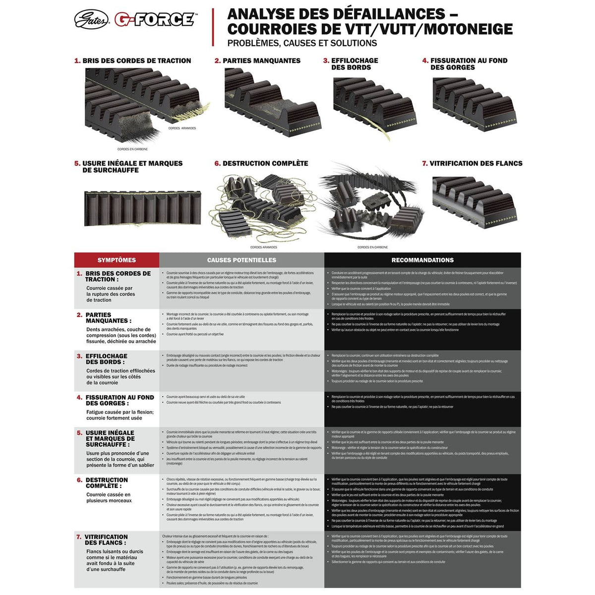 G-Force Recreational Belt C16140