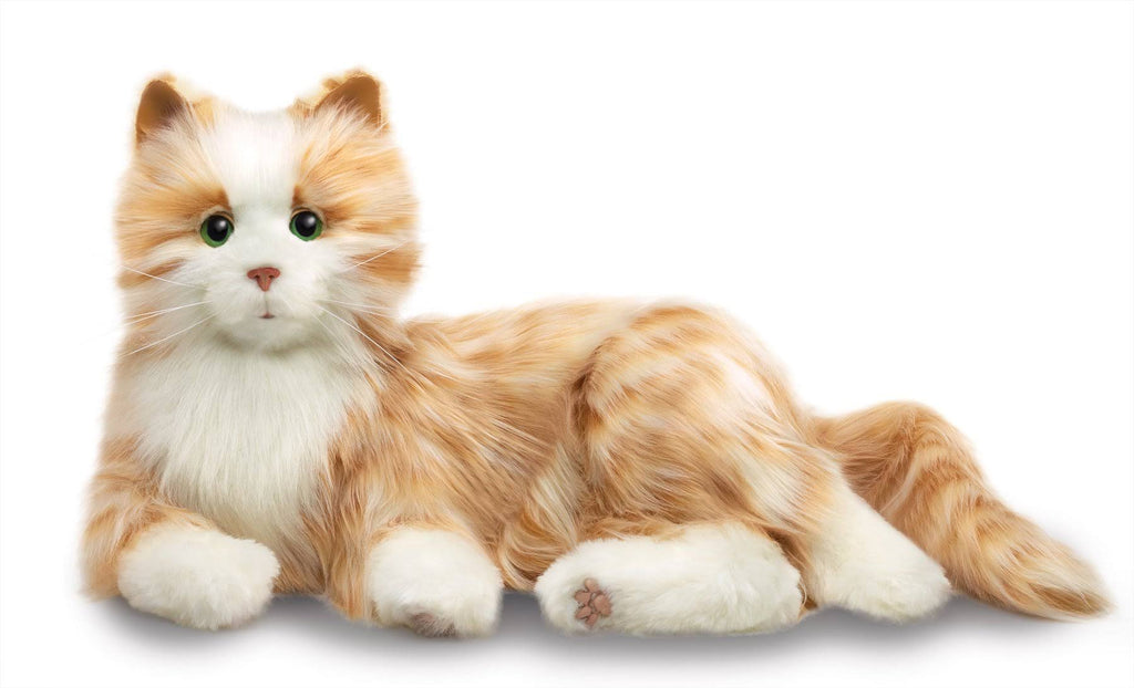 Orange Tabby Cat U1027