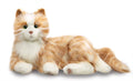 Orange Tabby Cat U1027