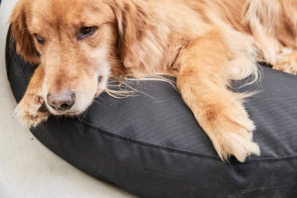 Black X-Large Round Nesting Dog Bed Q9294