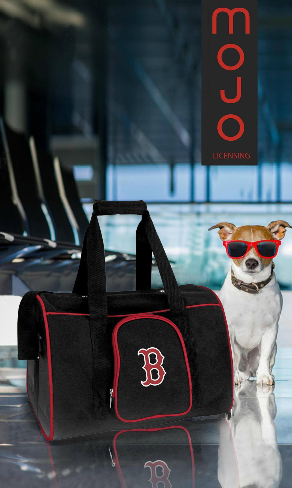 Premium Pet Carrier G25897