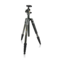 Carbon Fiber Tripod with Ball Head B800