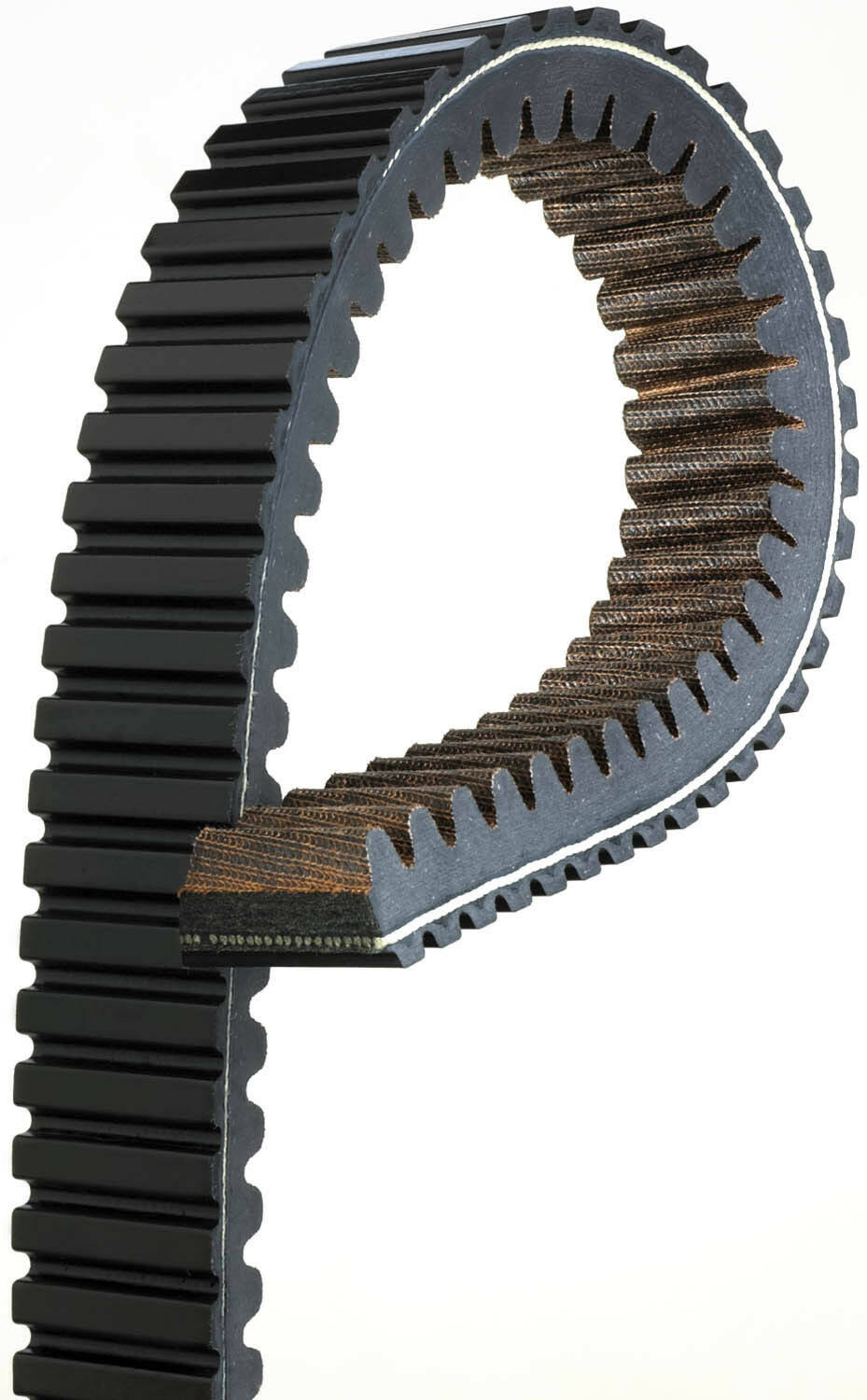 G-Force Recreational Belt C16140