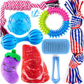 Puppy Teething Chew Toys Pack with Stuffed Squeaky Toys, Dog Ball, Ring Toy, Rope Toy N9166