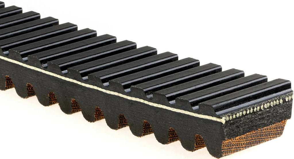 G-Force Recreational Belt C16140