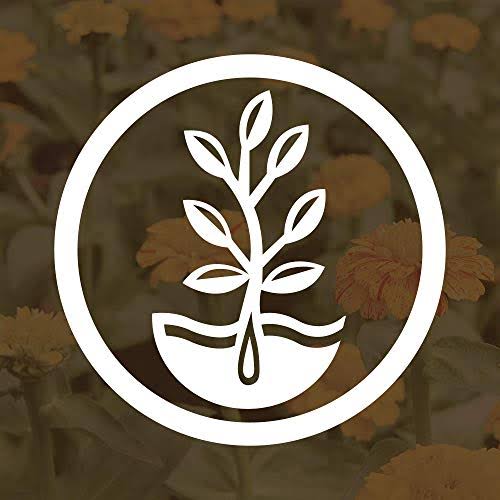 Crimson Clover Seeds, 25 lb Bulk, Non-GMO, Open Pollinated, Perennial, Heirloom, Clay Coated Z675