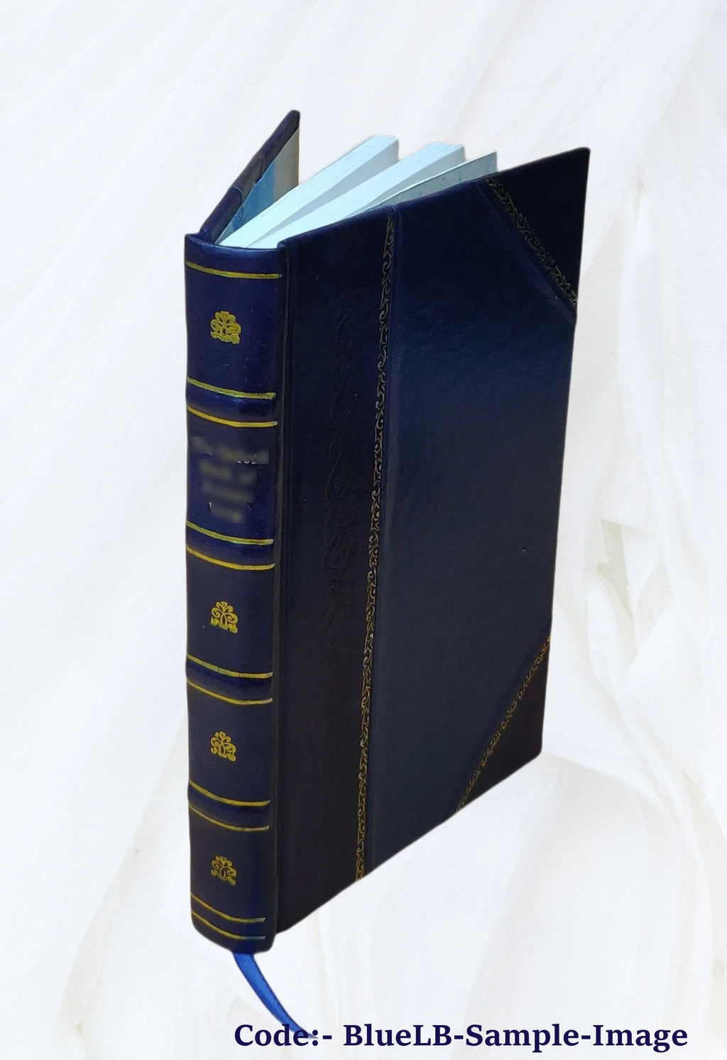 Miscellaneous Works and Novels Volume v.1 Leather Bound L797
