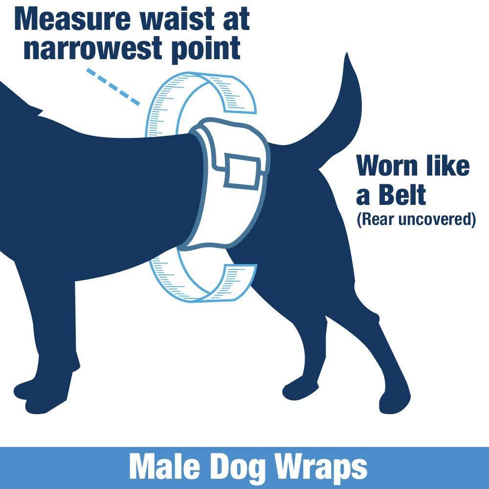 Disposable Male Dog Diapers, 1-Tab Small, 288 Count H243463