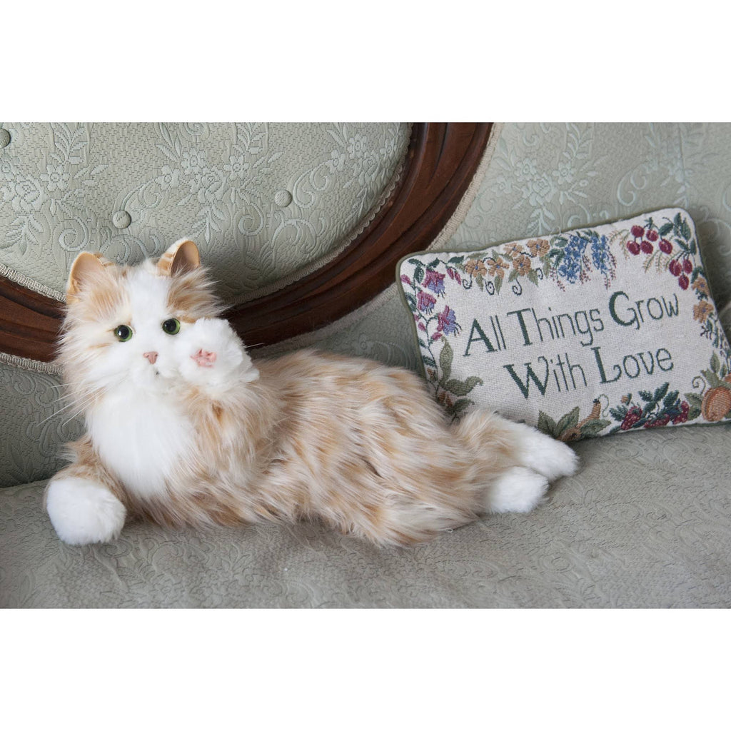 Orange Tabby Cat U1027