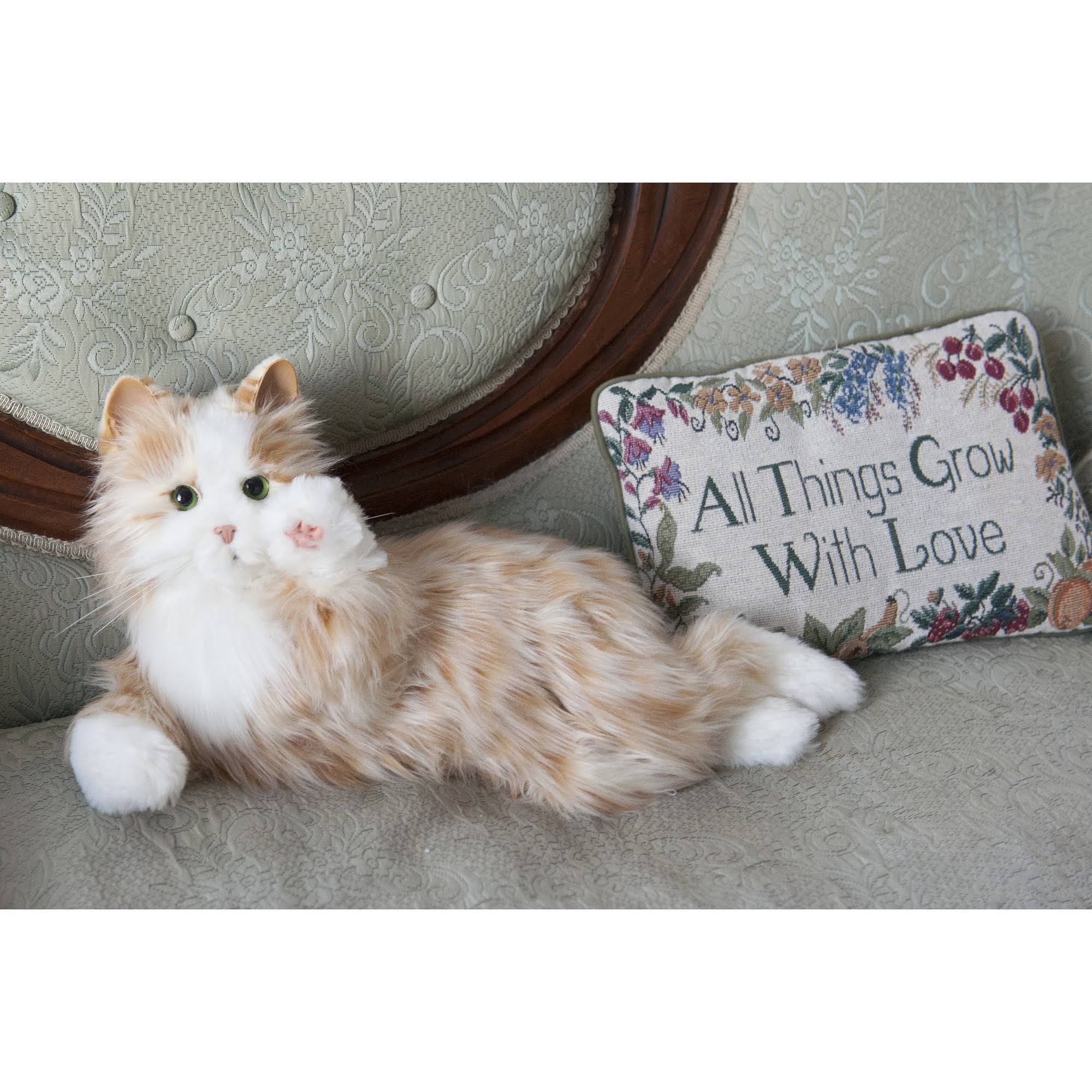 Orange Tabby Cat U1027