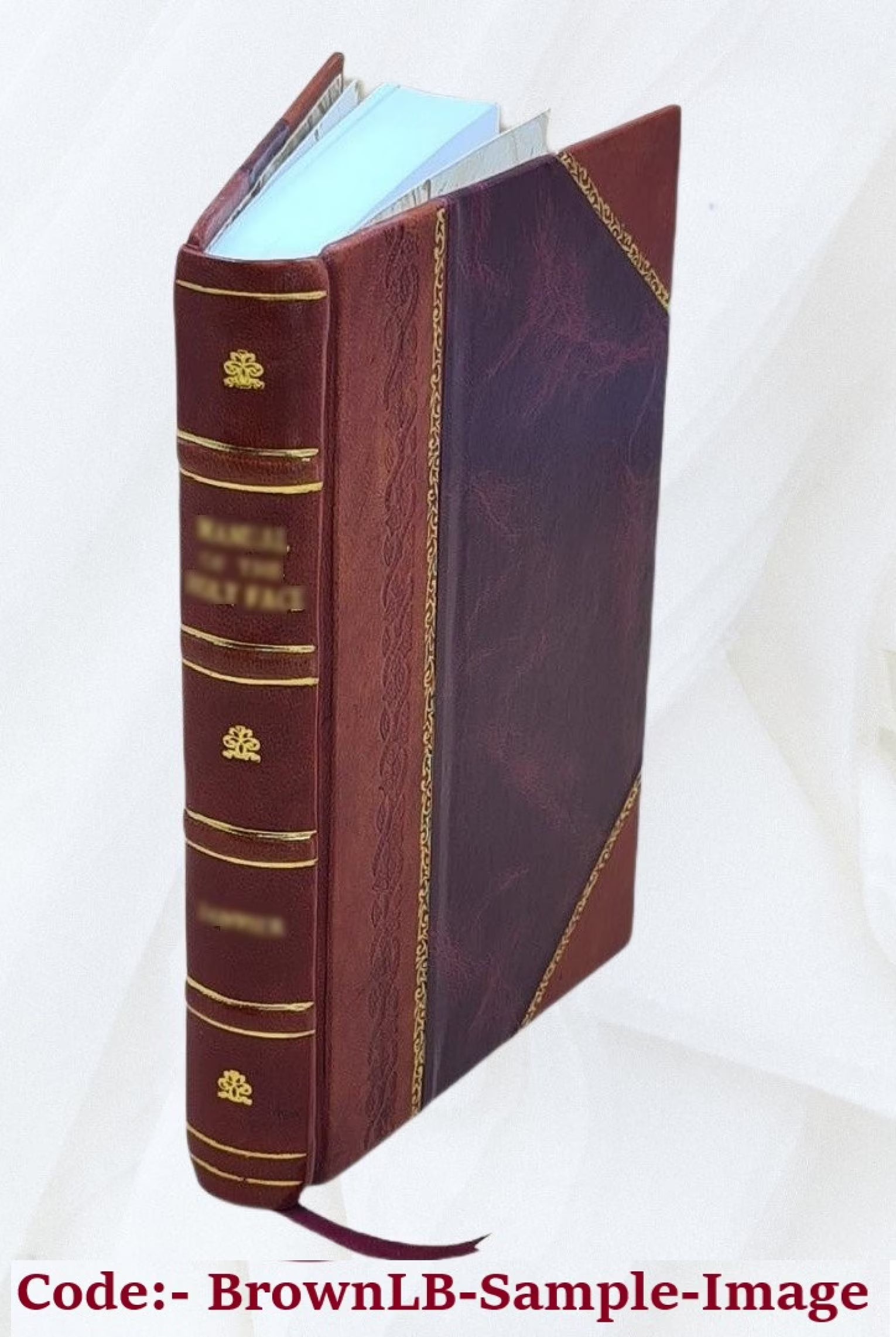 Miscellaneous Works and Novels Volume v.1 Leather Bound L797