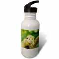 Flip Straw 21oz Water Bottle W72487