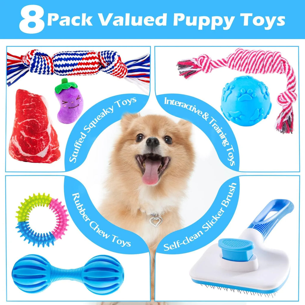 Puppy Teething Chew Toys Pack with Stuffed Squeaky Toys, Dog Ball, Ring Toy, Rope Toy N9166