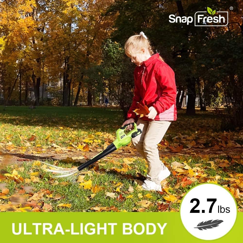 20V Cordless Electric Leaf Blower with Battery & Charger M616