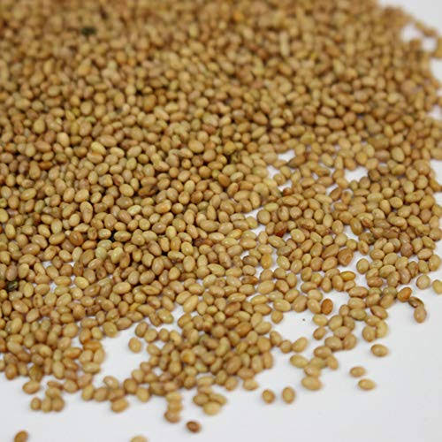 Crimson Clover Seeds, 25 lb Bulk, Non-GMO, Open Pollinated, Perennial, Heirloom, Clay Coated Z675
