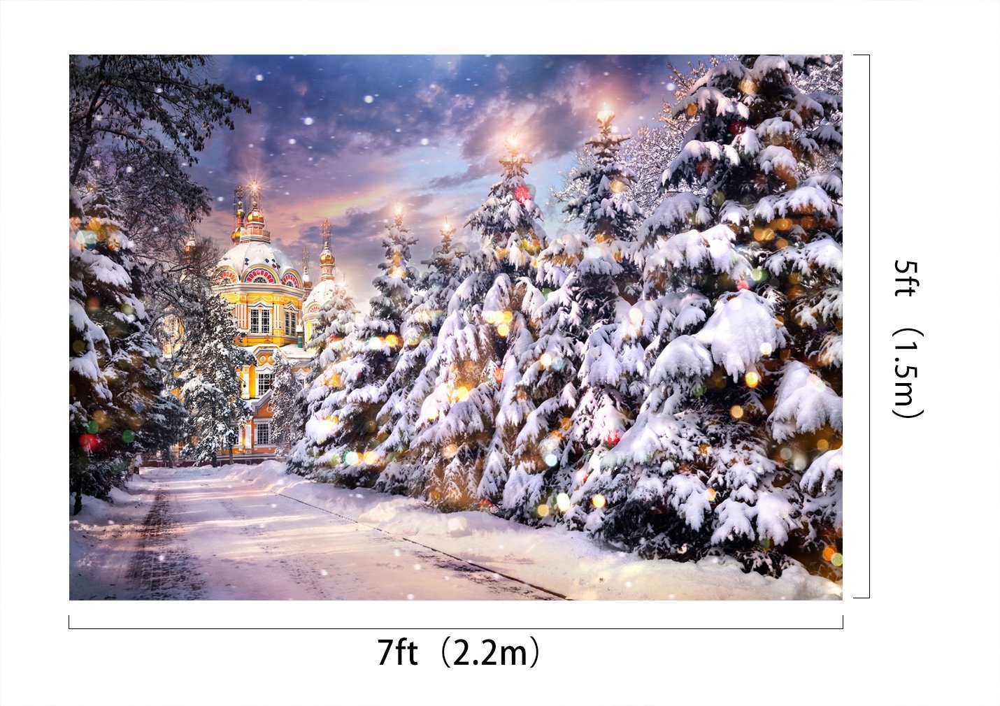 Christmas Backdrop for Photography A221