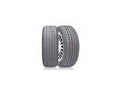 235/55R17 103V XL Winter Tire M230