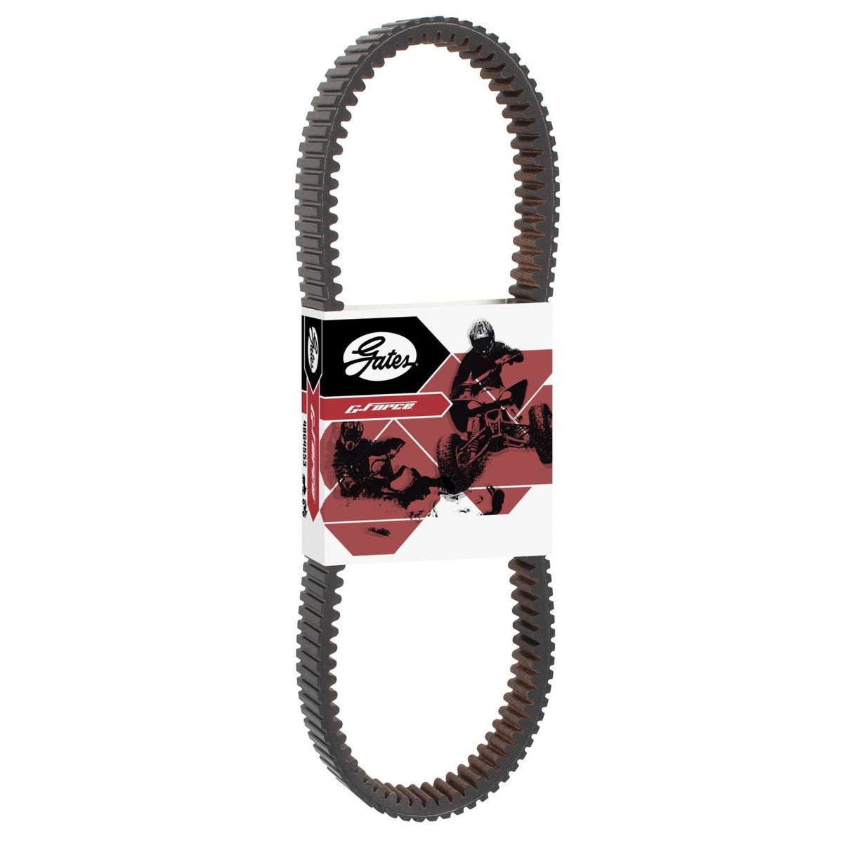 G-Force Recreational Belt C16140