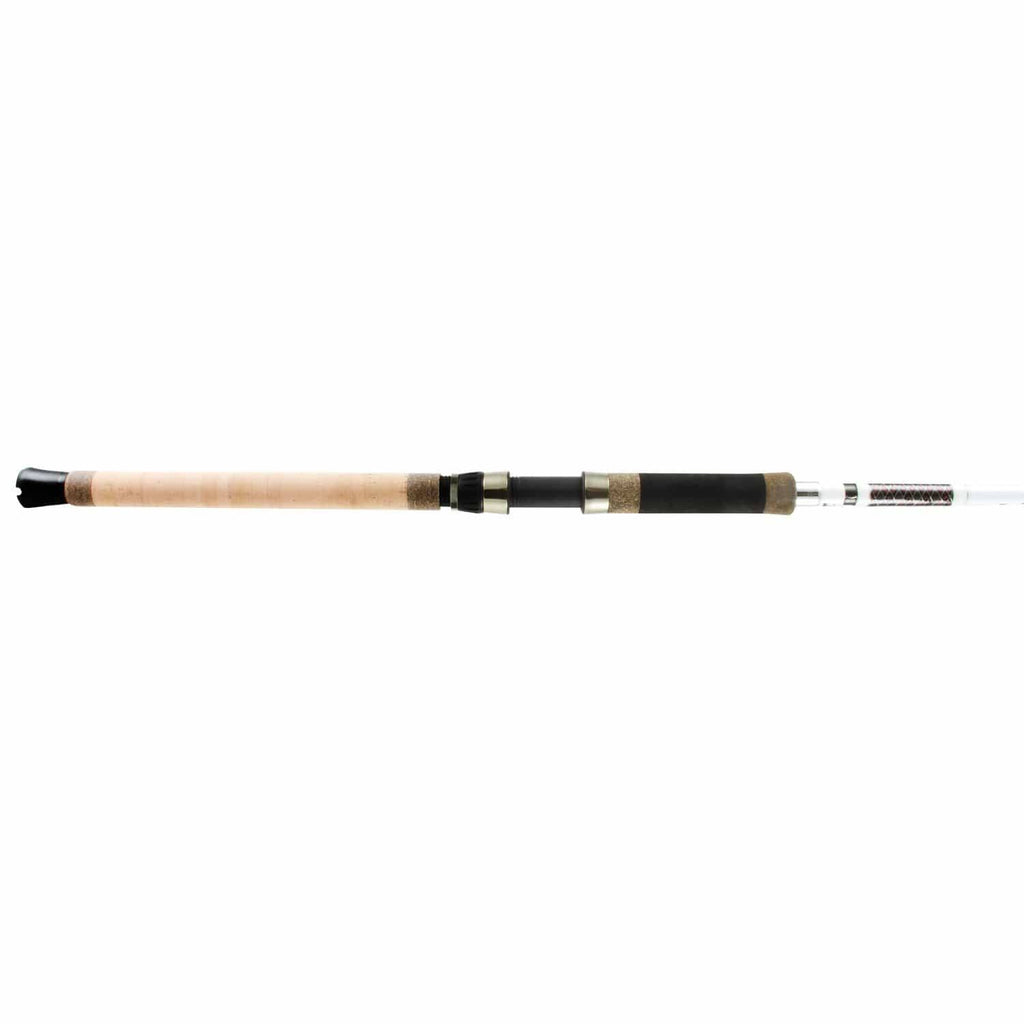 Heavy 2-Piece Spin Rod Z2734