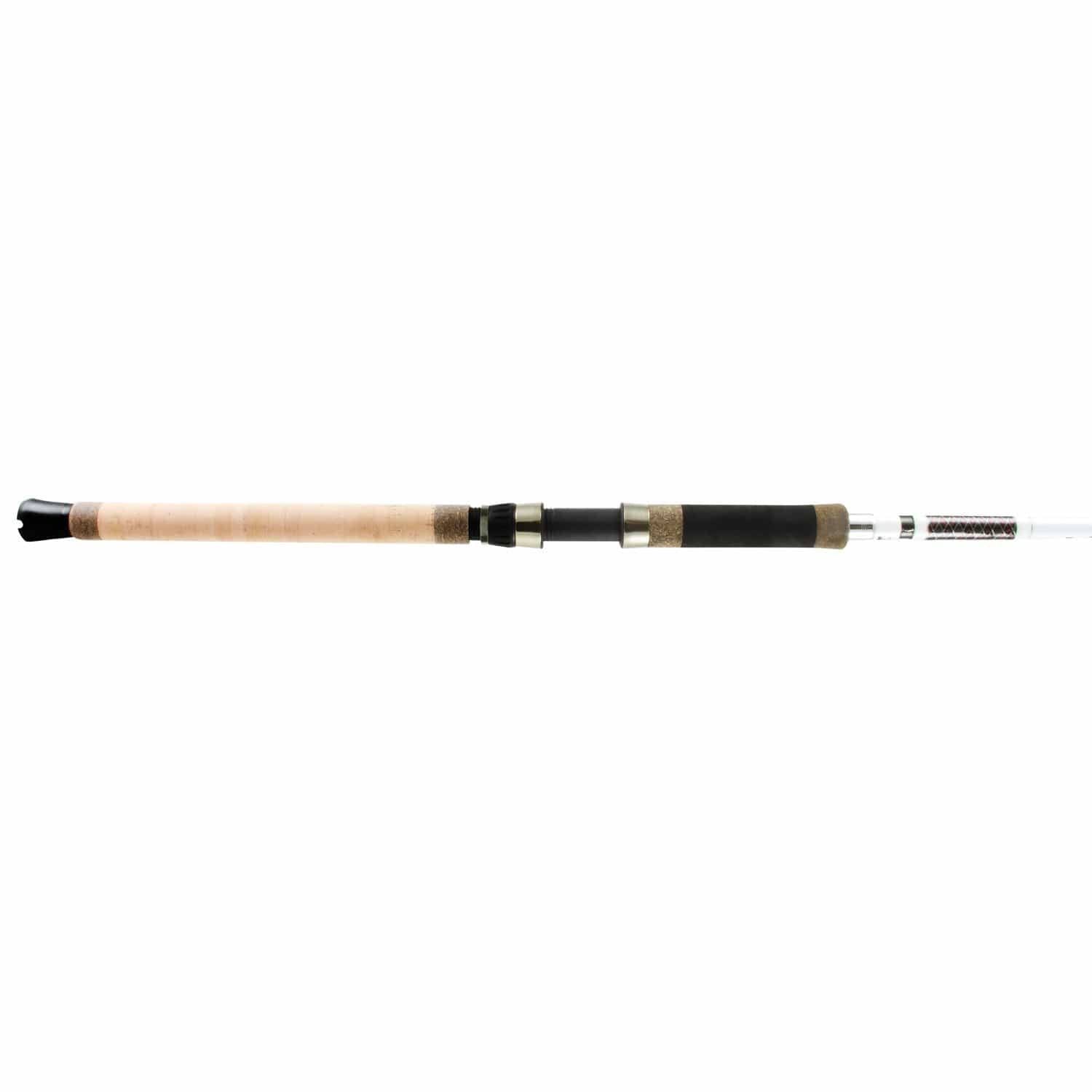 Heavy 2-Piece Spin Rod Z2734