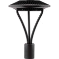 Bronze 52W Warm LED Clear Lens G100