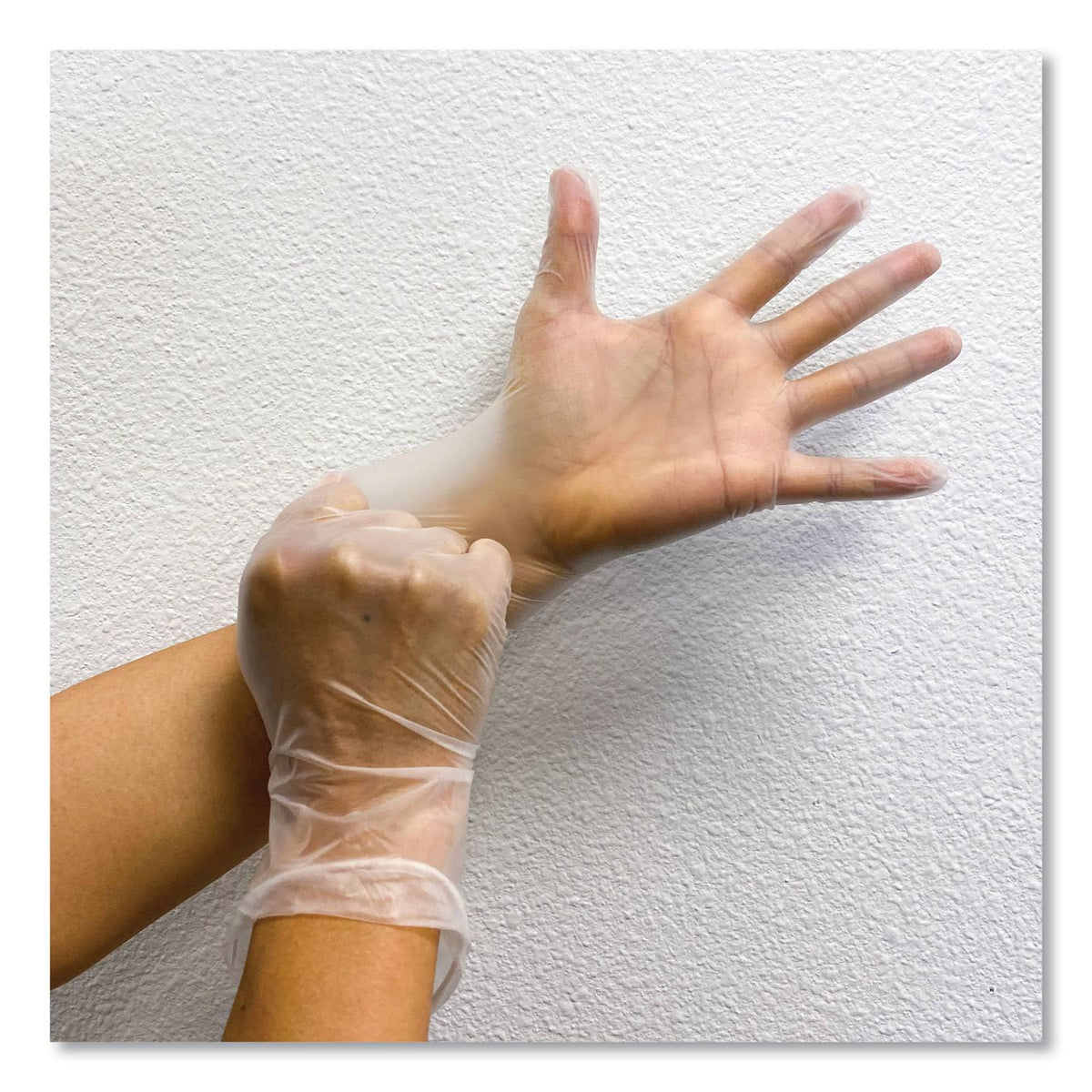 Single Use Vinyl Glove, Clear, Medium, 1000/Carton V697155