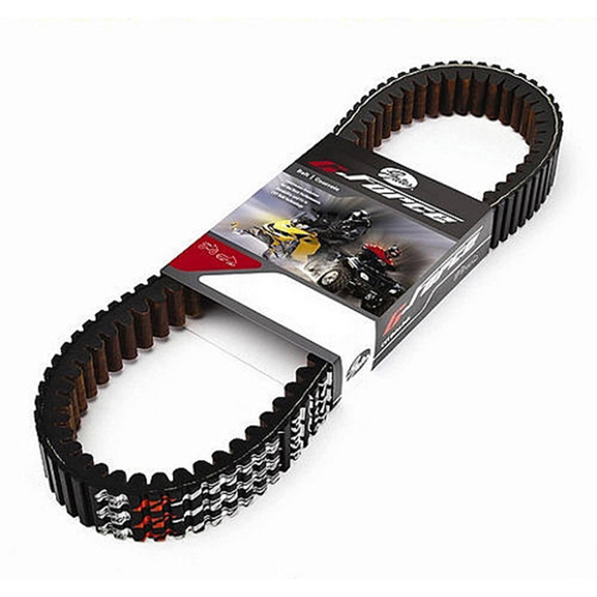 G-Force Recreational Belt C16140