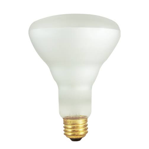 24 Packs 65 Watt Incandescent BR30 Flood Light Bulbs Z413806