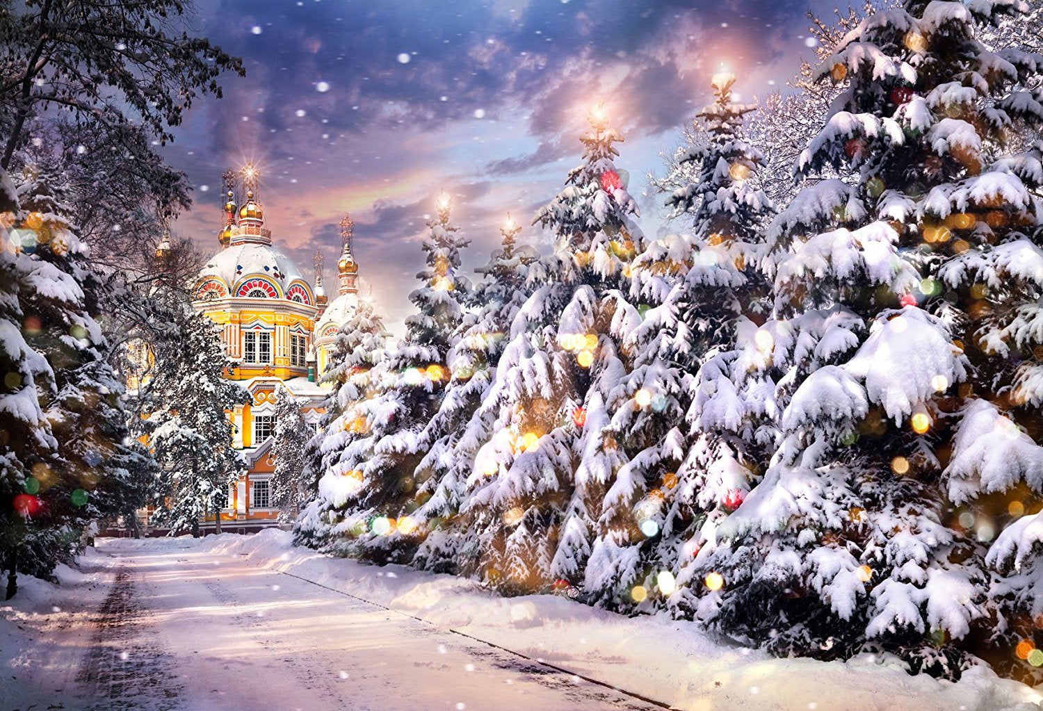 Christmas Backdrop for Photography A221