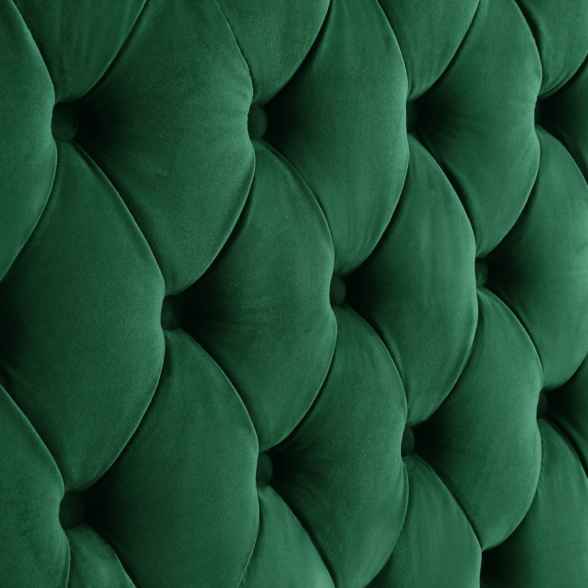 Hunter Green Velvet Chaise Sectional Sofa with Gold Nailhead Trim W831198