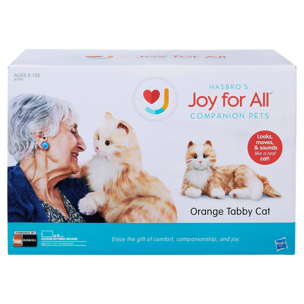 Orange Tabby Cat U1027