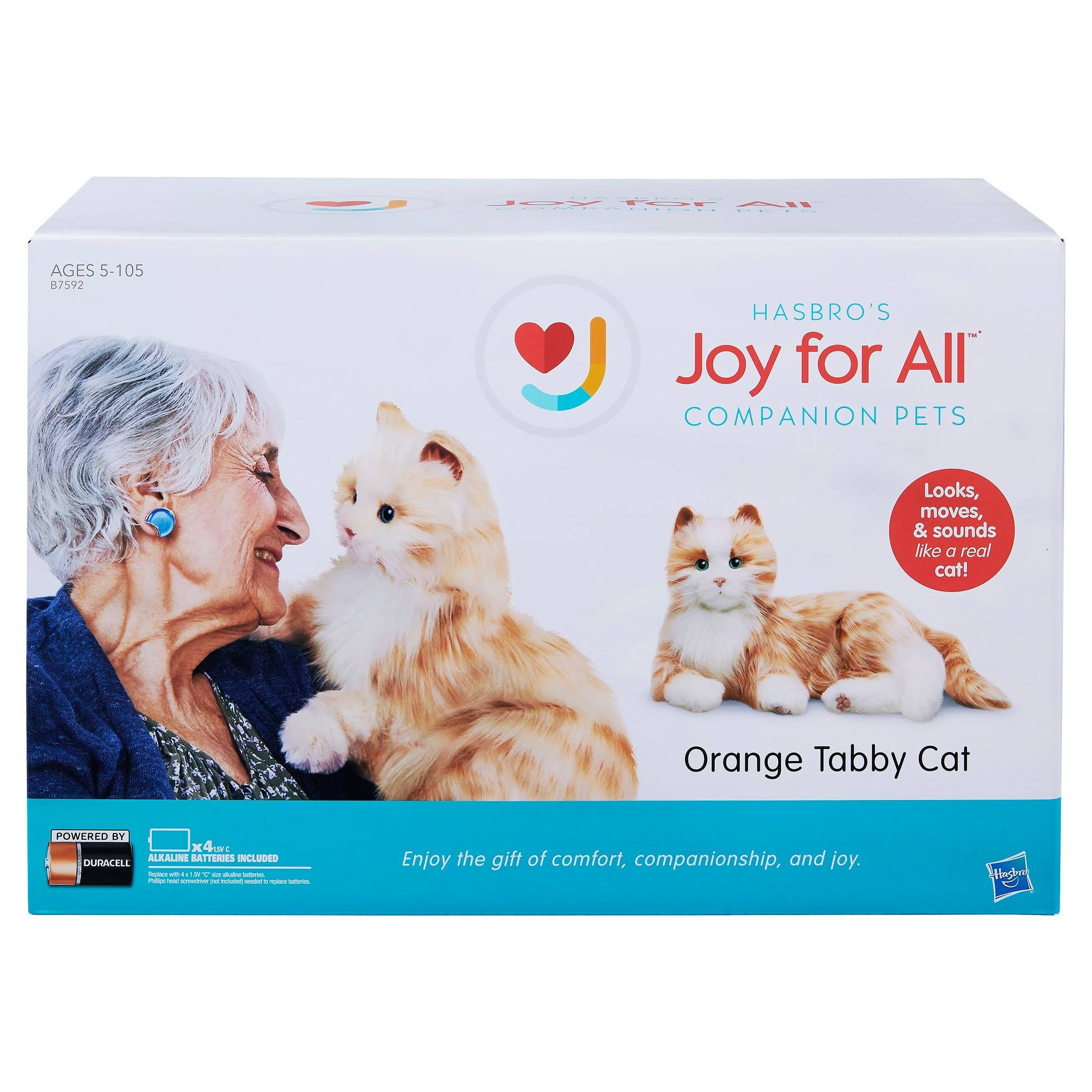 Orange Tabby Cat U1027