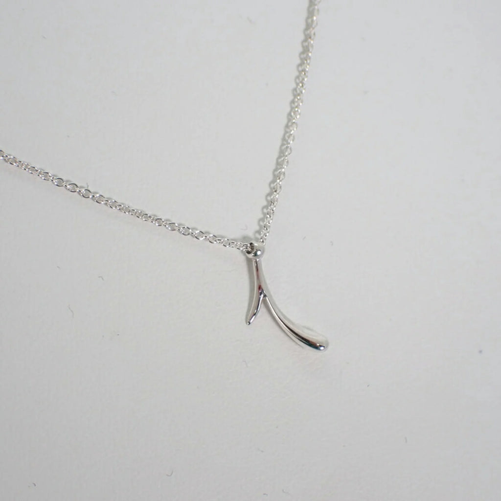 925 Peretti Pendant Necklace E70413