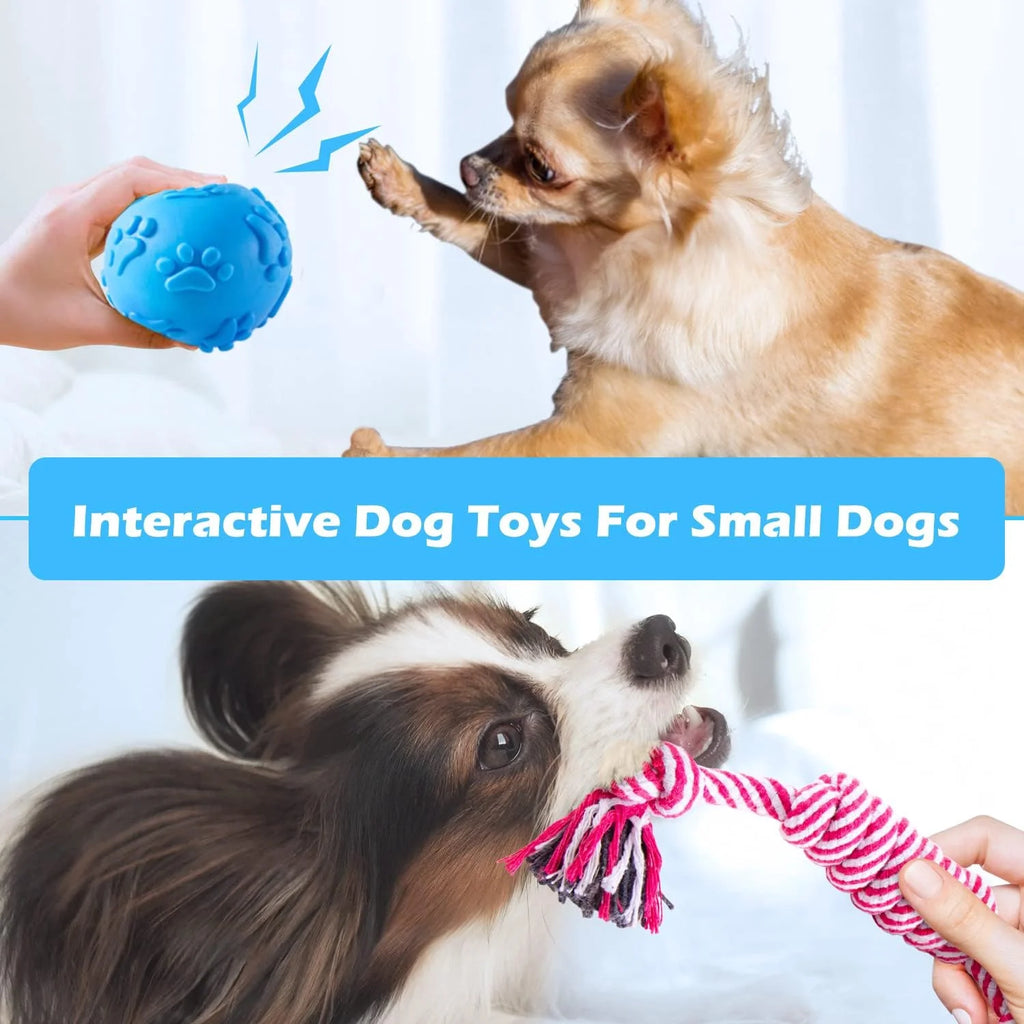 Puppy Teething Chew Toys Pack with Stuffed Squeaky Toys, Dog Ball, Ring Toy, Rope Toy N9166