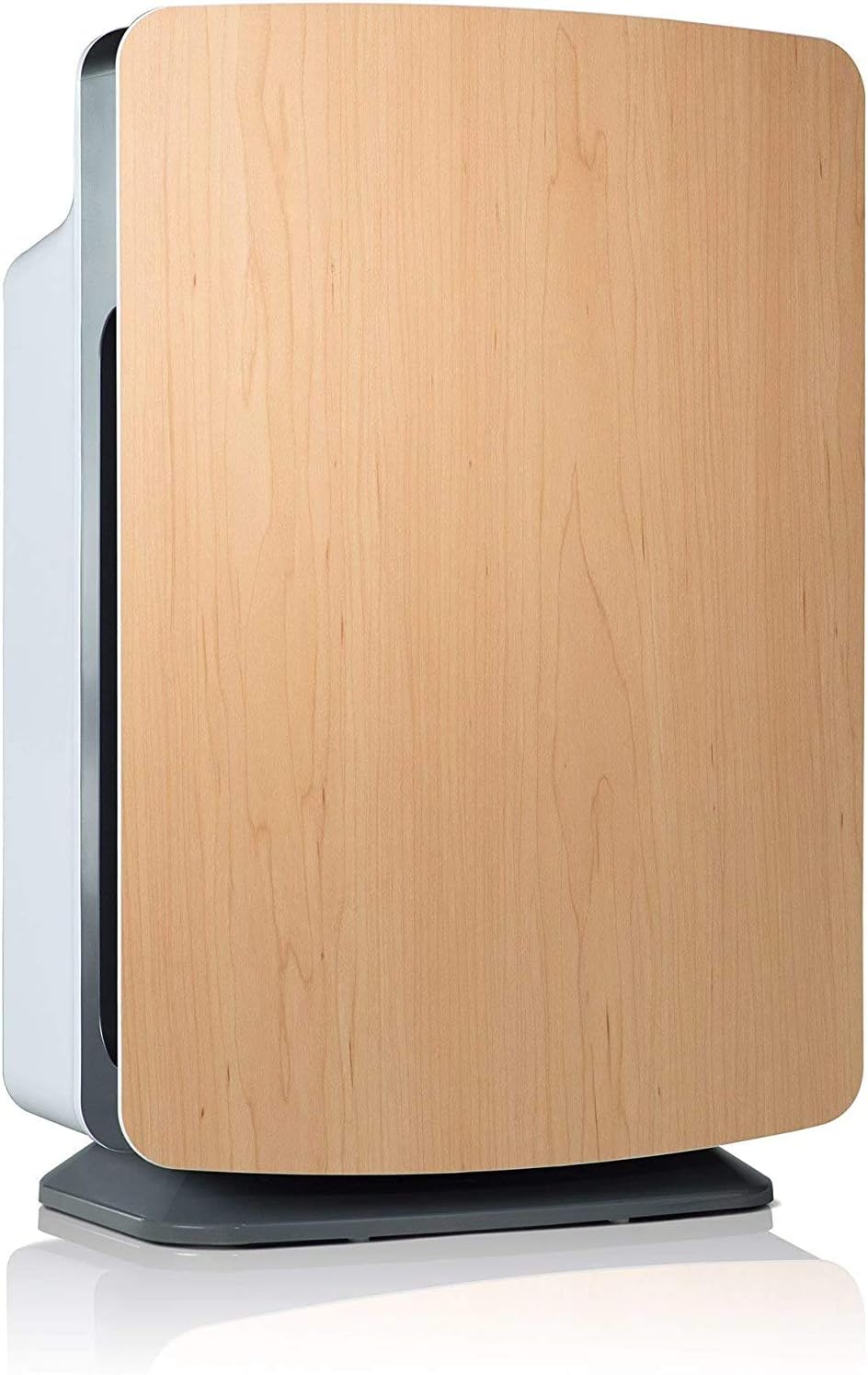 Large Room Air Purifier with True HEPA in White H3462